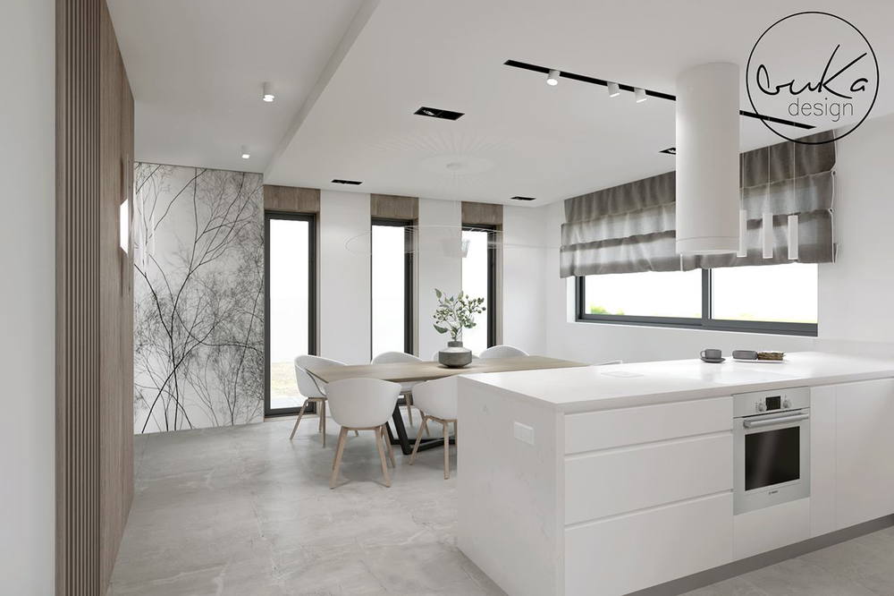 Concrete house, ujęcie 1 — projekt domu jednorodzinnego, Kraków, projekt buKadesign